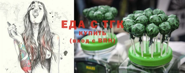 индика Арсеньев