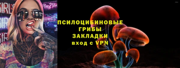 индика Арсеньев