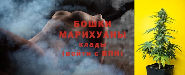 индика Арсеньев