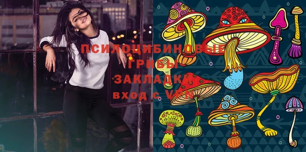 прущая мука Аркадак