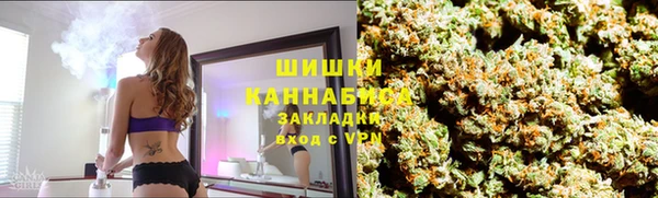 индика Арсеньев