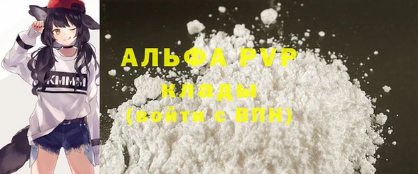 индика Арсеньев