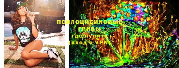 индика Арсеньев