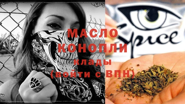 индика Арсеньев