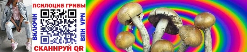 закладки  Нижние Серги  Галлюциногенные грибы Psilocybine cubensis 